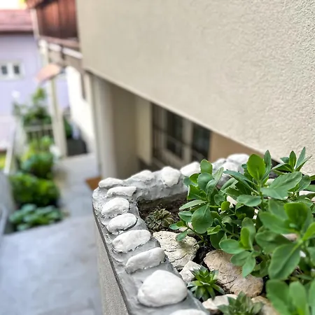 Apartament Lokum *